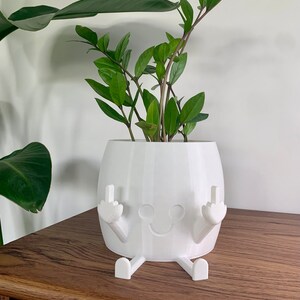 May include: A white 3D-printed planter featuring a stylized face with two circular eyes and a curved mouth. The planter has two arms raised with fingers extended in a middle finger gesture and two legs extending forward from the base.