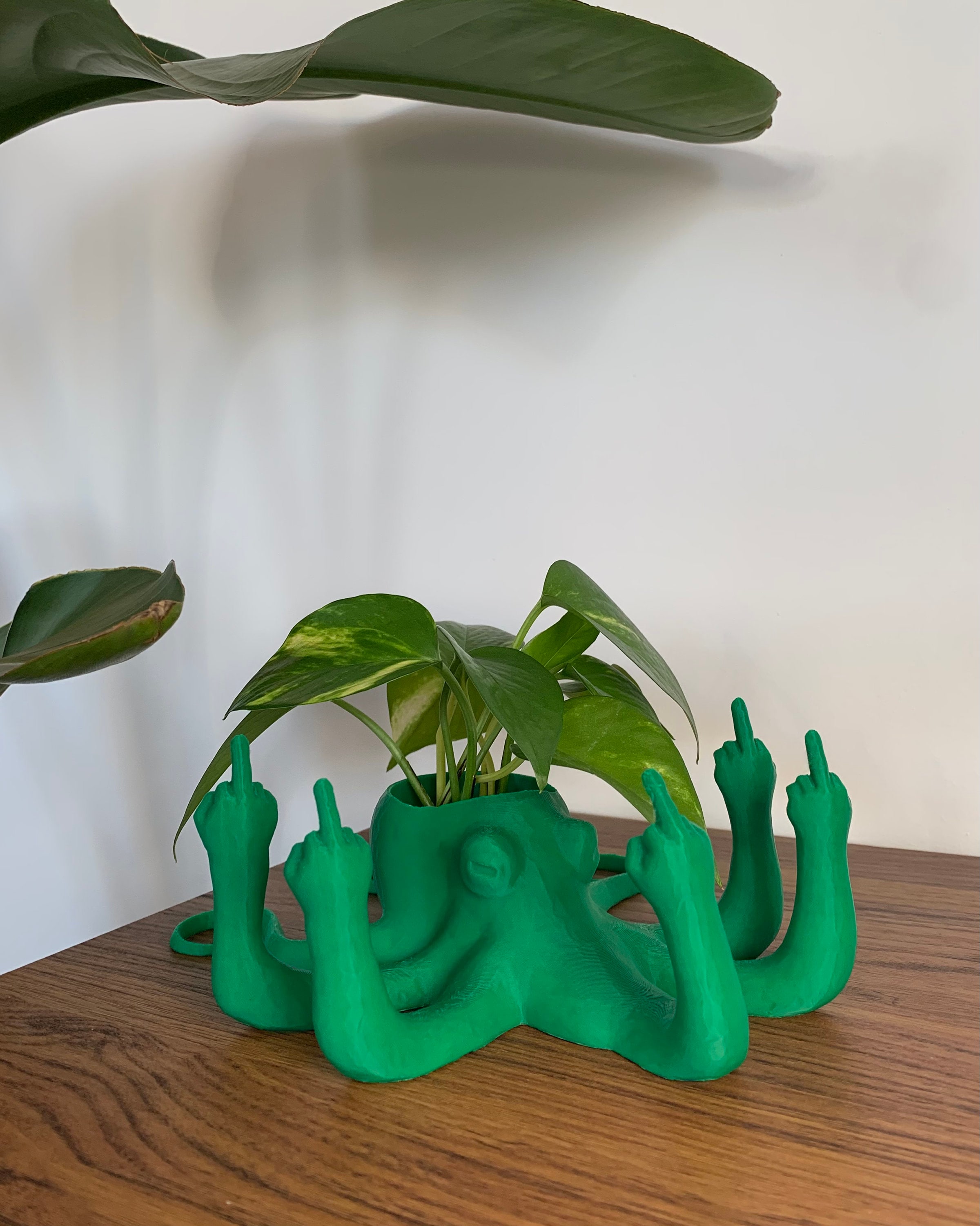 Fucktopus Planter