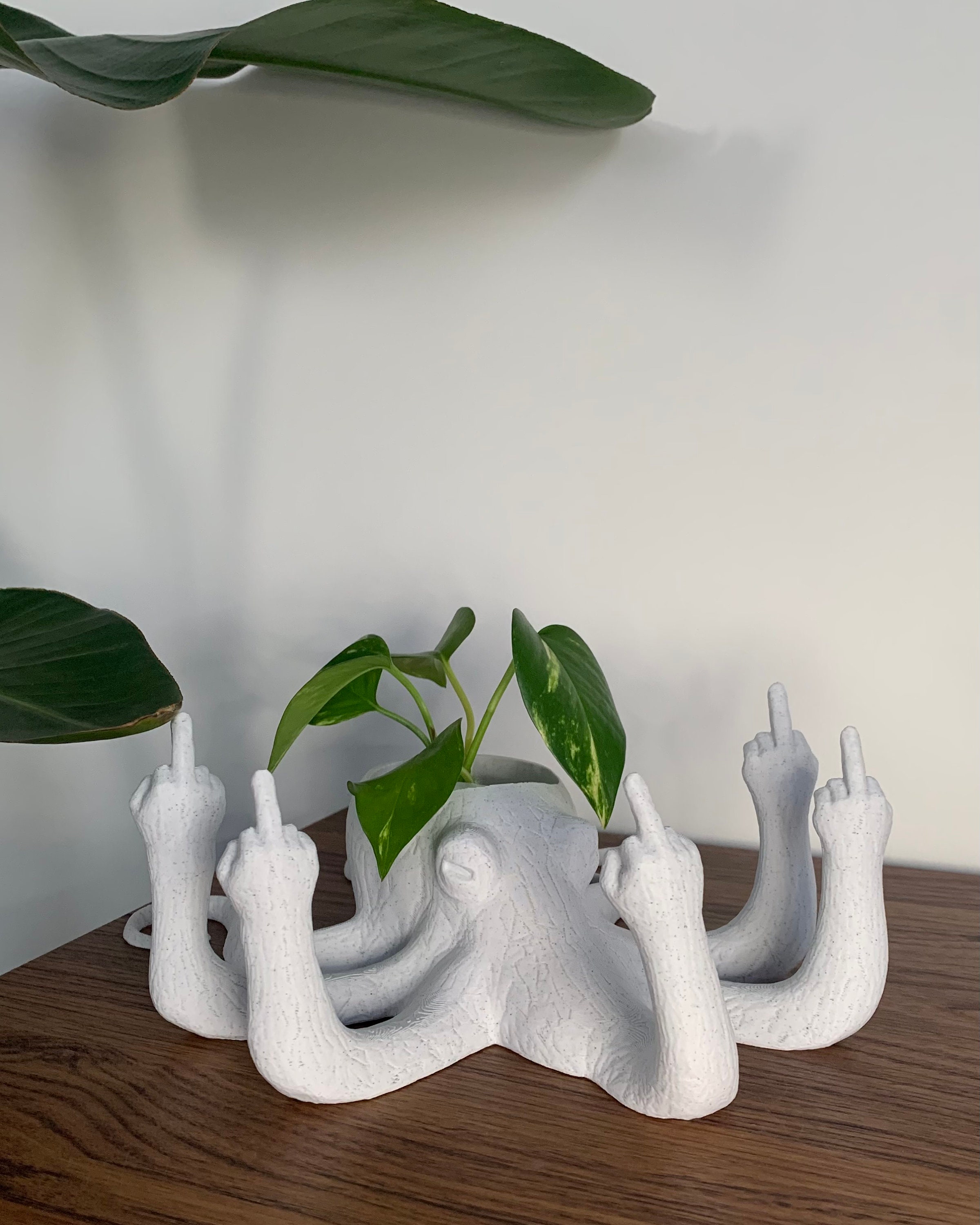 Fucktopus Planter