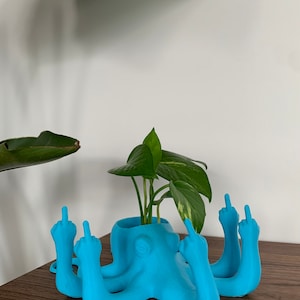 Fucktopus Planter image 7