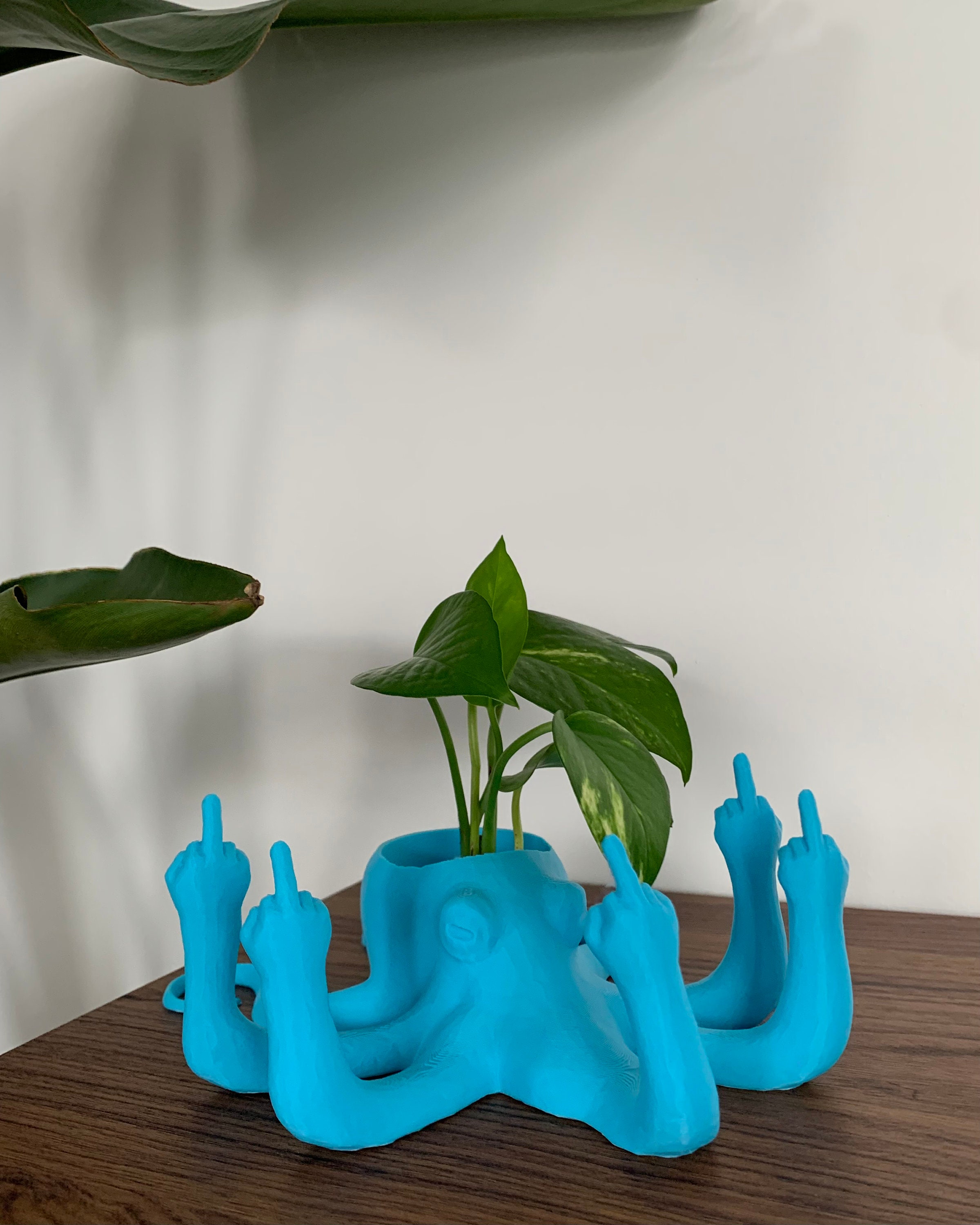 Fucktopus Planter