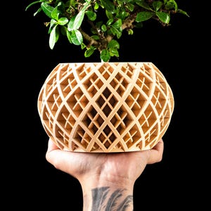 May include: A light-coloured, spherical wooden planter with a lattice design, held in a hand. The planter is empty, and a small green plant with leaves is above it. The background is black.