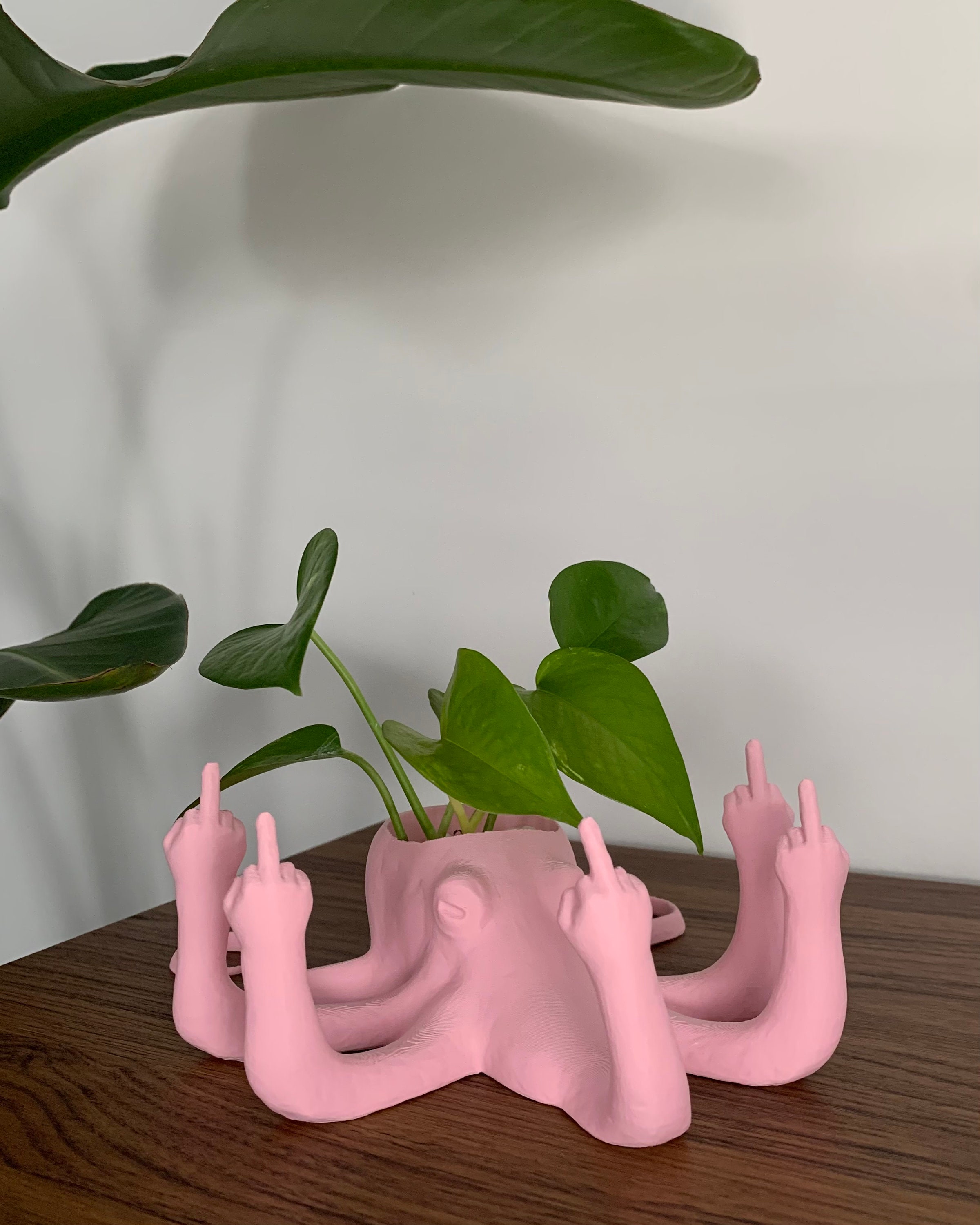 Fucktopus Planter