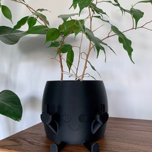 May include: A matte black 3D printed planter featuring a stylized character with a smiling face, two arms raised with middle fingers extended, and two legs extending forward, containing a small green leafy plant with thin brown stems.