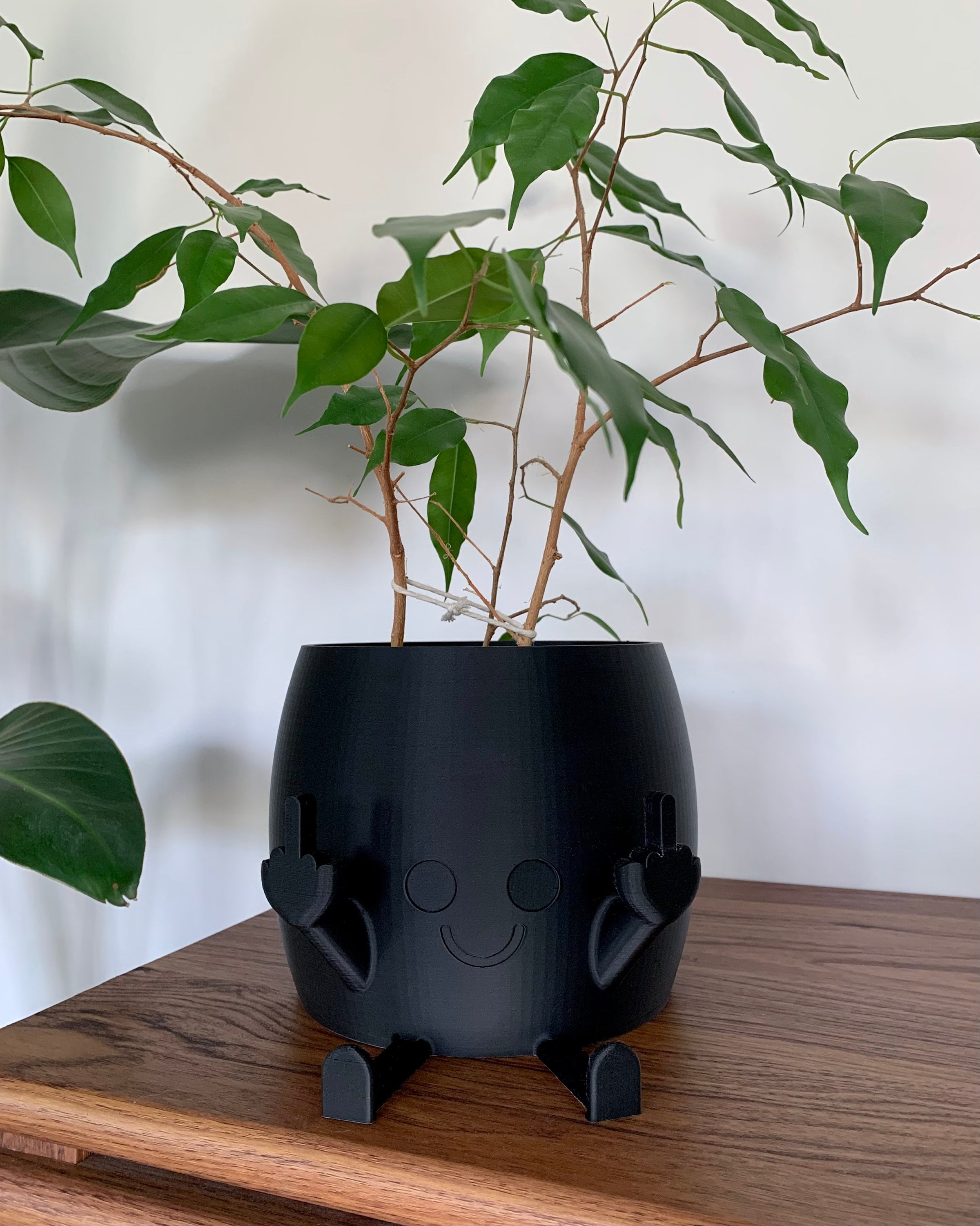 Middle Finger Planter