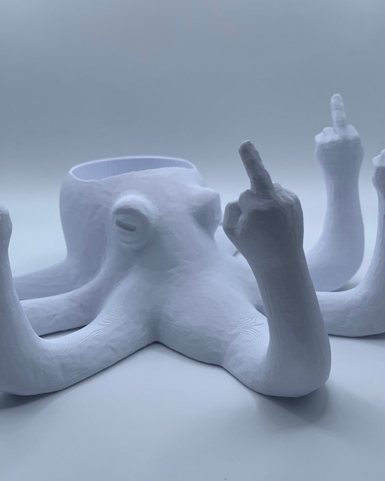 Fucktopus Planter image 8