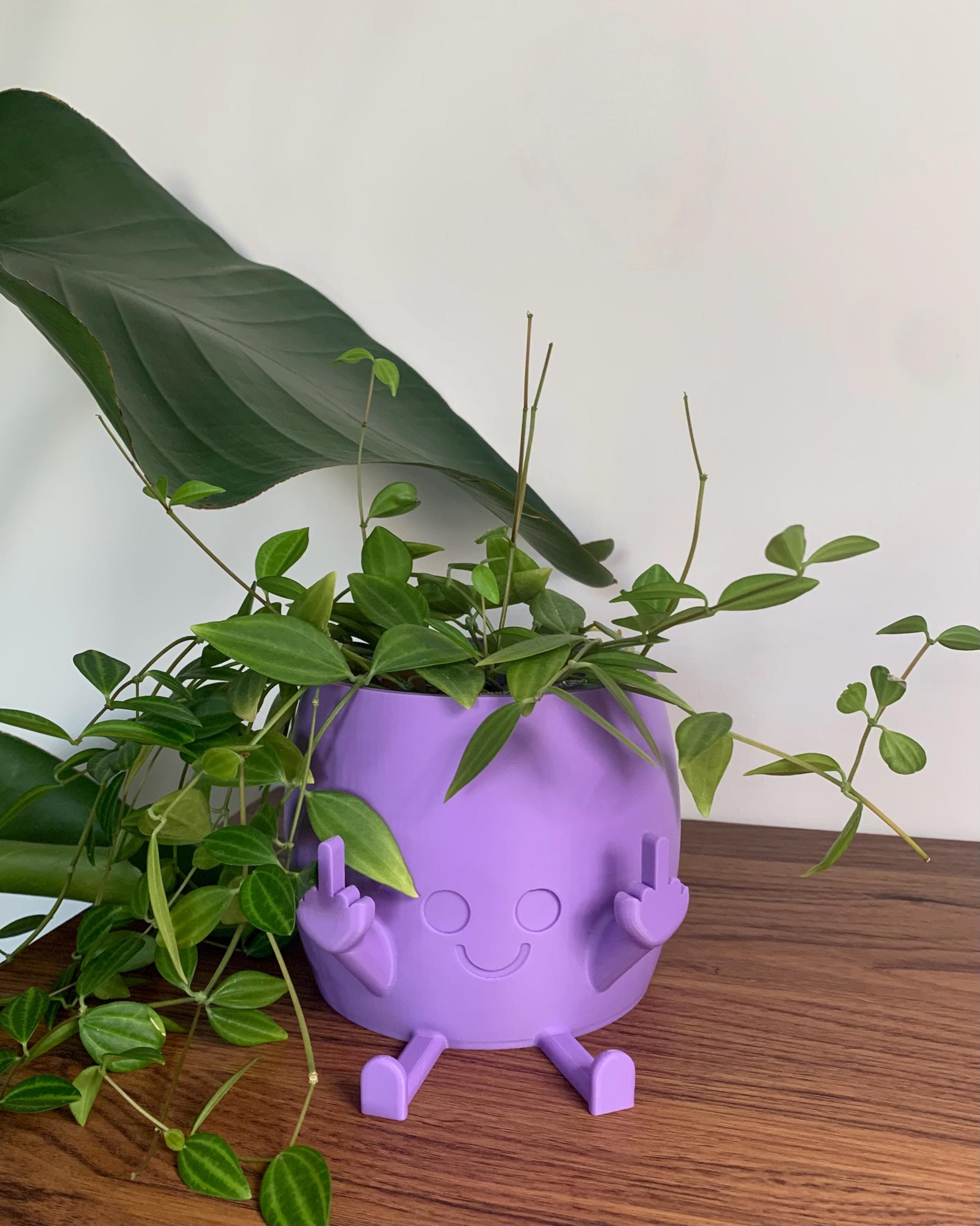 Middle Finger Planter