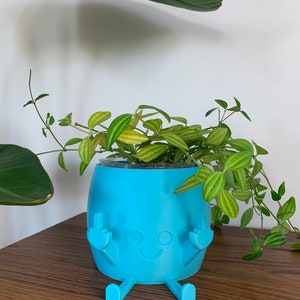 May include: A bright blue, cylindrical planter featuring a cartoon-like face with a simple smile and two arms raised, each displaying a middle finger gesture. The planter has two small legs extending forward and contains a trailing green plant.