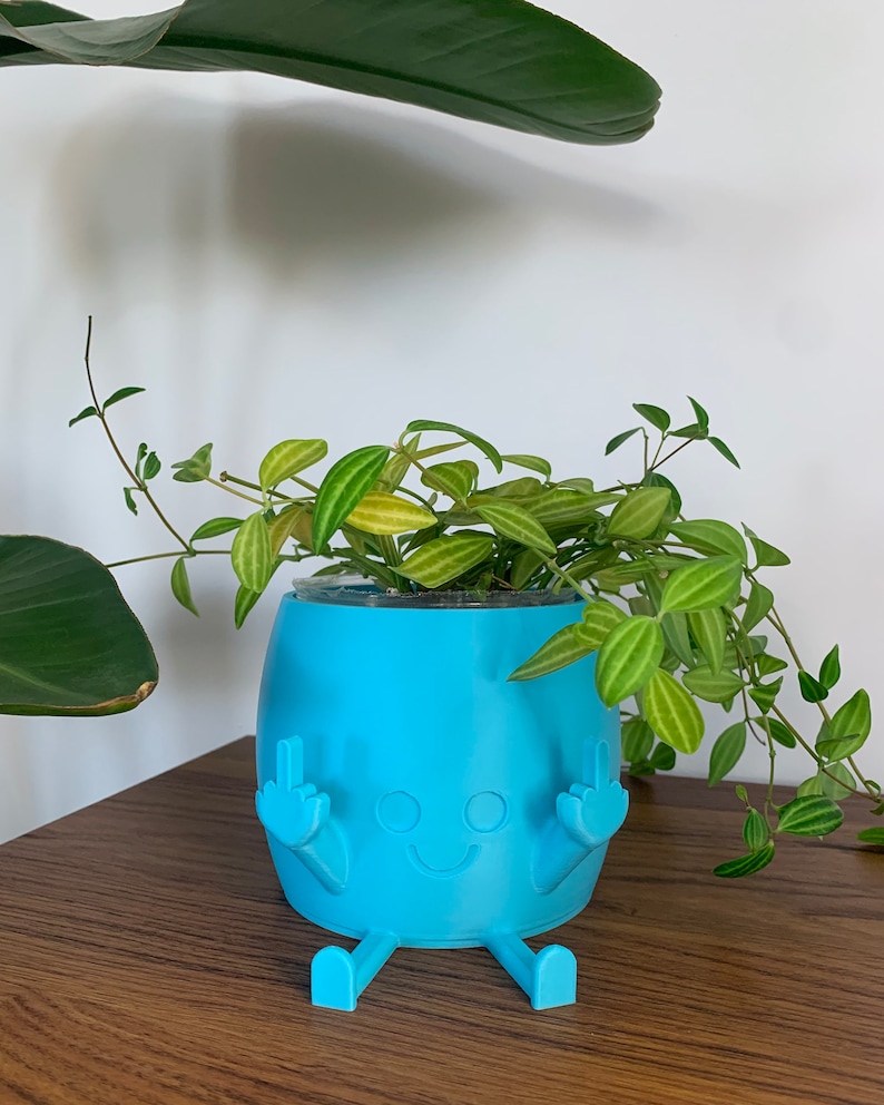May include: A bright blue, cylindrical planter featuring a cartoon-like face with a simple smile and two arms raised, each displaying a middle finger gesture. The planter has two small legs extending forward and contains a trailing green plant.