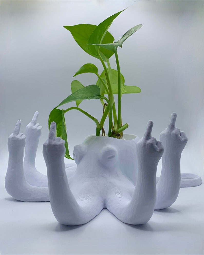 Fucktopus Planter image 9