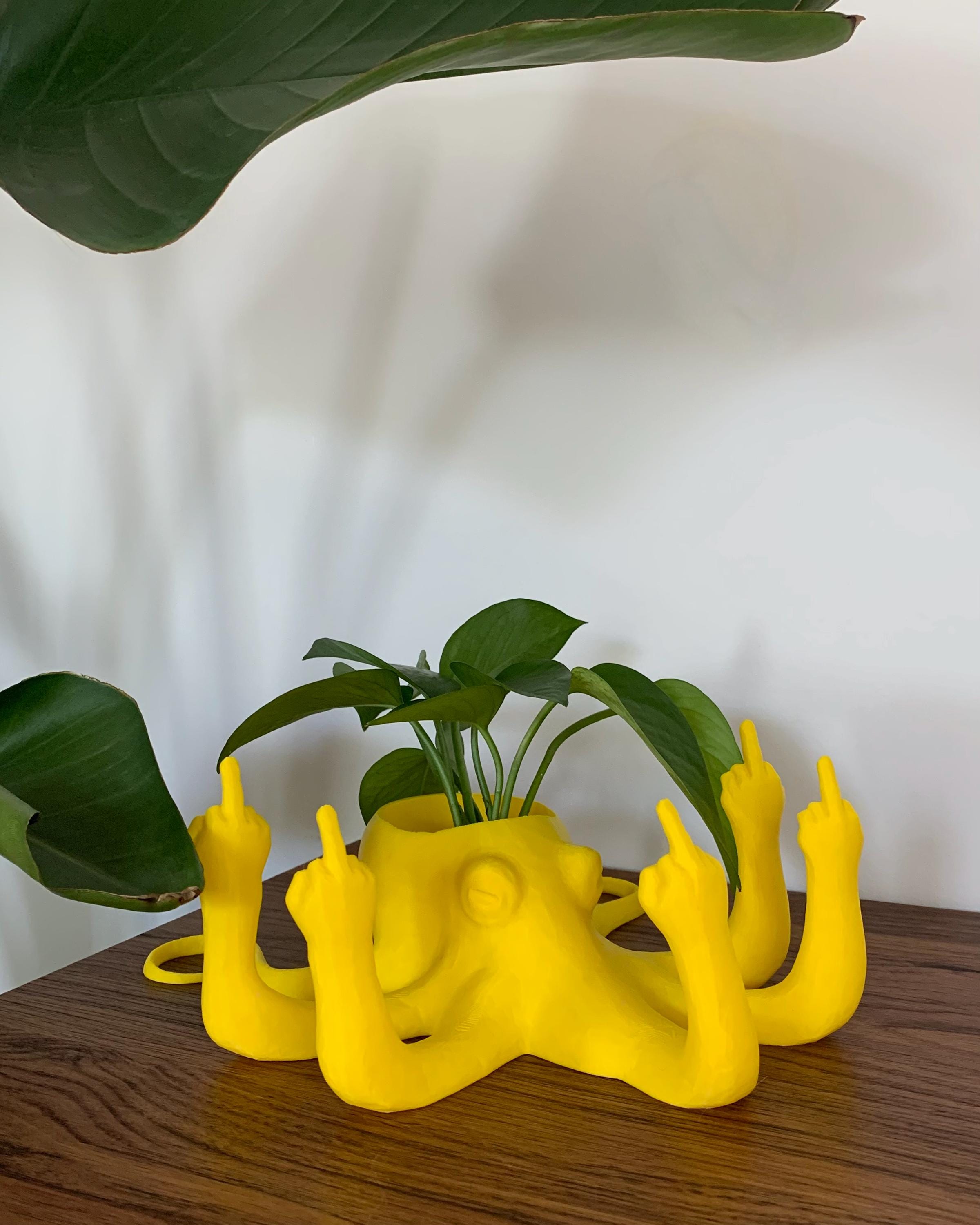 Fucktopus Planter