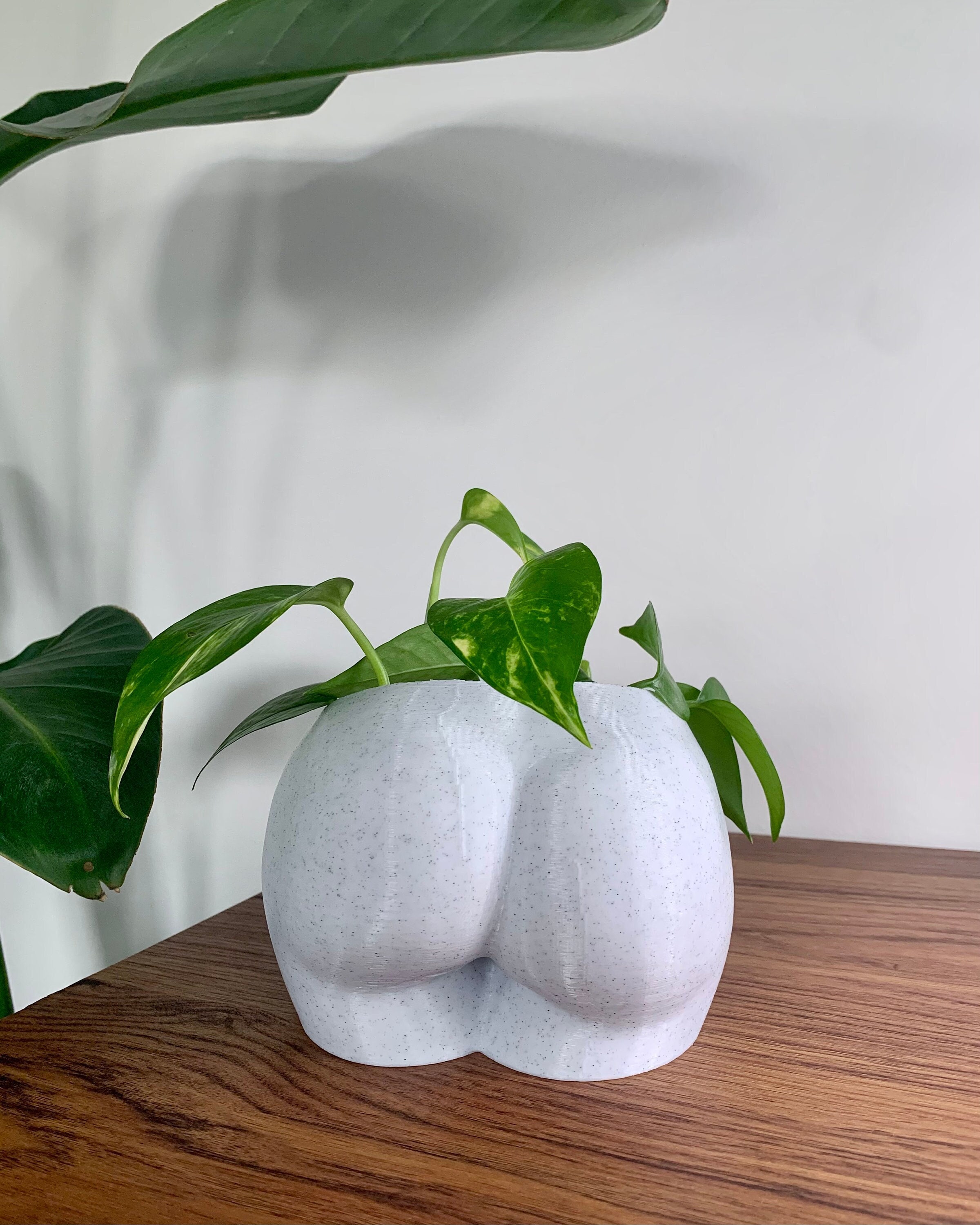 PEUTIER Vasi per Piante Divertenti, Novità Fioriera Divertente Resina Vasi da Fiori Fioriere Divertenti Fioriera Vasi per Piante Grasse per Interni Esterni Casa Soggiorno Decorazione (Grigio