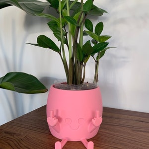 May include: A bright pink, barrel-shaped planter featuring a molded face with a simple smile and two arms raised, each displaying a middle finger gesture. The planter has two small legs extending from the base and holds a green ZZ plant.