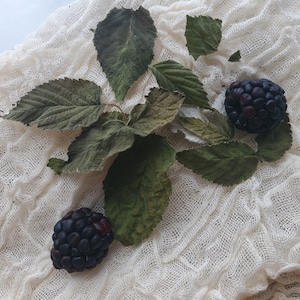 Blackberry leaves, raspberry leaves, black raspberry leaves,