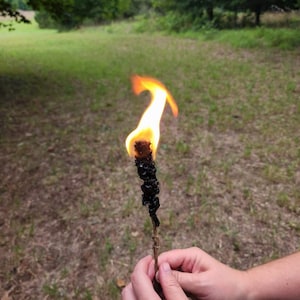Mullein Torch, hags torch, hag candle, witch candle, witch torch, mullein candles, beeswax, candle, spooky season, torch