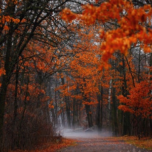 Can’t Be Mist - 11x14 Metal Print