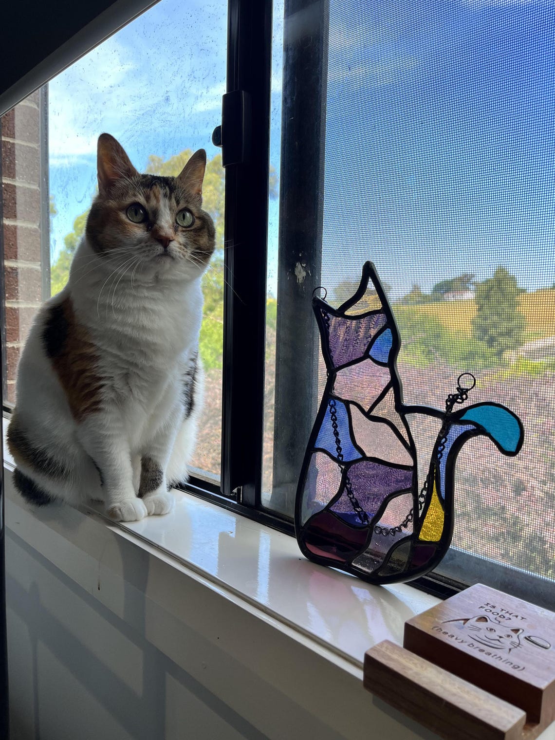 Stained Glass Cat Pattern | Digital Download | DIY Suncatcher Template ...