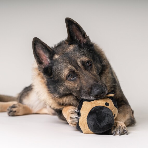 Top 5 Toys for Bored German Shepherds – GSD Colony