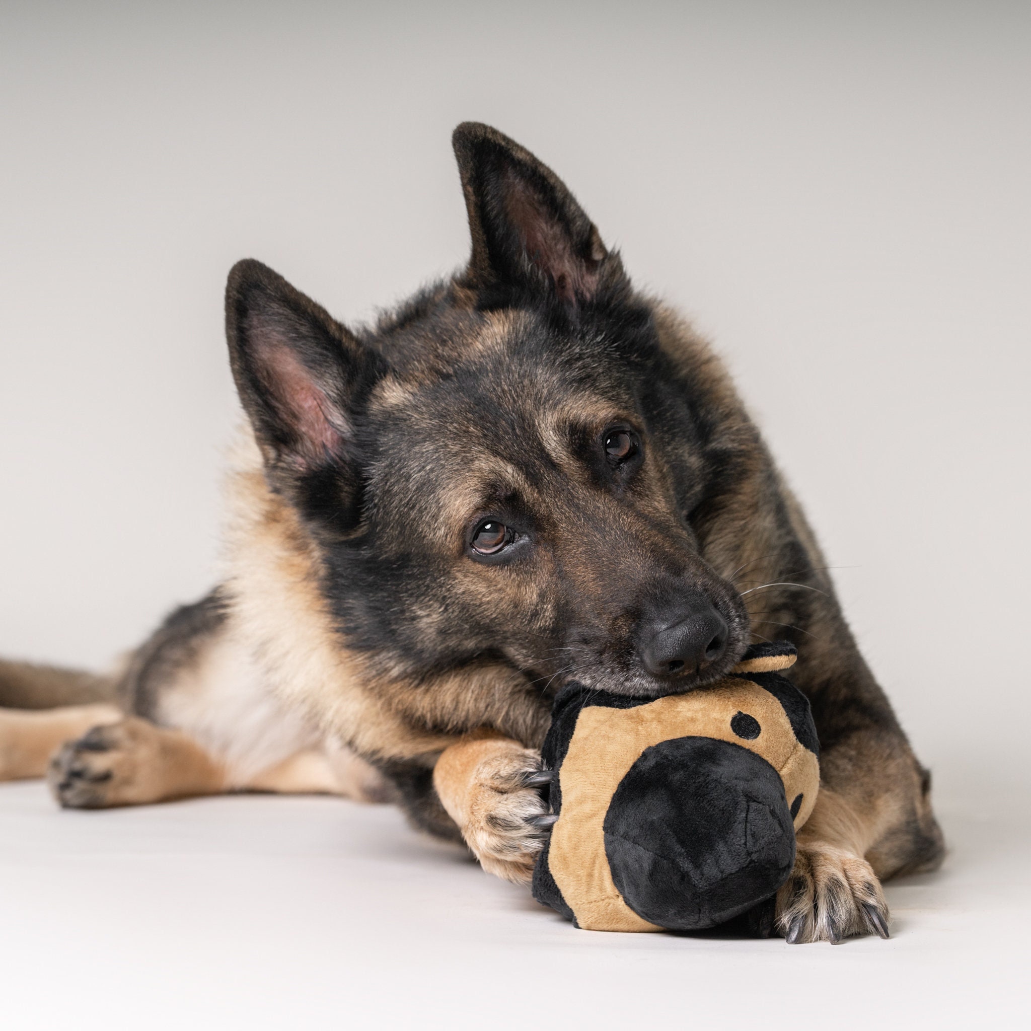 A German Shepherd Dog Toy 2 in 1 Plush & Ball Dog Toy for Pet Anxiety and  Separation Relief 