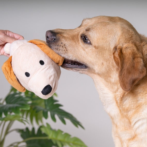 A Labrador Dog Toy 2 in 1 Plush & Ball Dog Toy for Pet Anxiety and