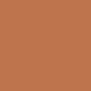 May include: A solid terracotta orange background.