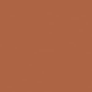 Puede incluir: Un fondo sólido de color terracota.