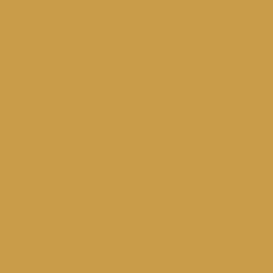 May include: A solid, uniform, golden yellow background.