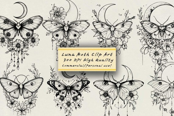 Luna Moth Line Art, Transparent PNG Clipart (Digital Download)
