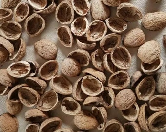 Pack of 50 walnut halves, walnut shells, decoration, craft, gift decoration. Condition: &quot;New&quot;.