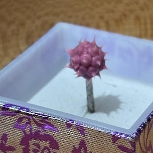 Pu&ograve; includere: Un piccolo oggetto rosa e appuntito su uno stelo argentato, presentato in una scatola decorativa. La scatola ha un motivo floreale oro e viola all'esterno e un interno lilla chiaro. L'oggetto &egrave; centrato nella scatola.