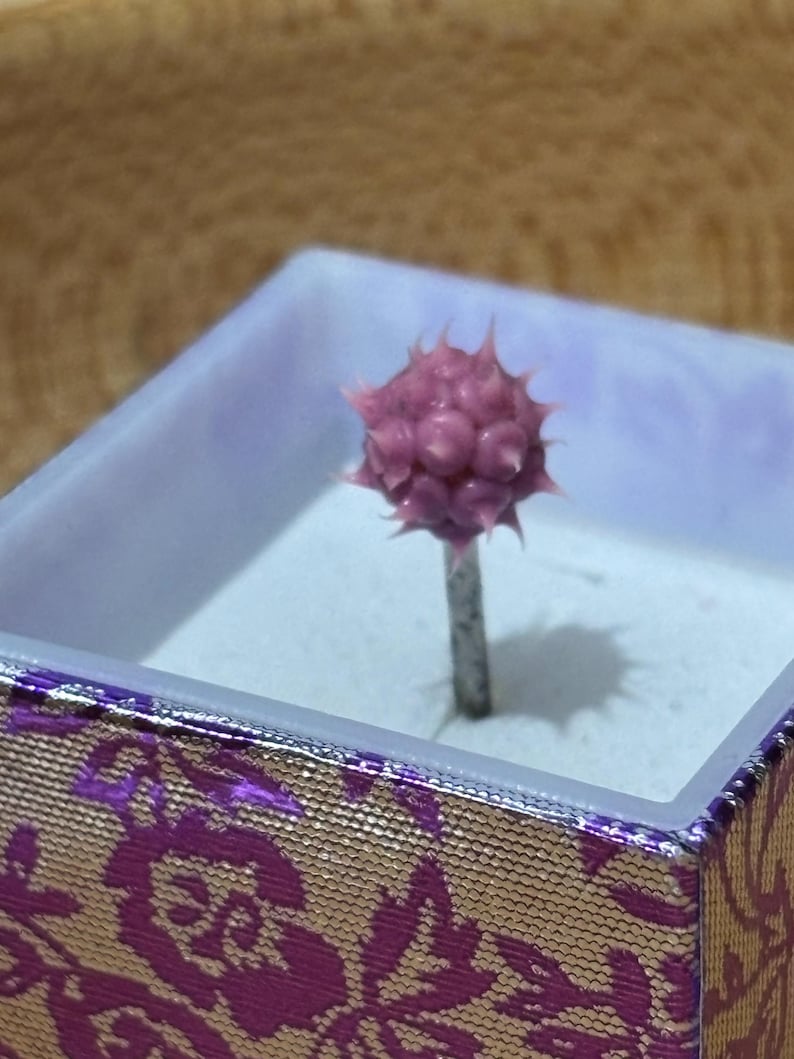 Pu&ograve; includere: Un piccolo oggetto rosa e appuntito su uno stelo argentato, presentato in una scatola decorativa. La scatola ha un motivo floreale oro e viola all'esterno e un interno lilla chiaro. L'oggetto &egrave; centrato nella scatola.