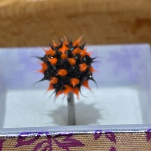 Pu&ograve; includere: Un oggetto spinoso nero e arancione su uno stelo argentato, simile a una spilla decorativa. L'oggetto &egrave; posto su uno sfondo chiaro all'interno di una scatola decorativa, che mostra un design unico.