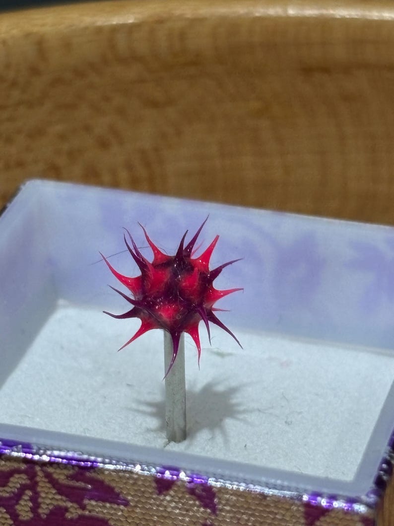 Pu&ograve; includere: Un oggetto spinoso rosso scuro, simile a un riccio di mare o a un fiore stilizzato, montato su uno stelo argentato. L'oggetto &egrave; posto all'interno di una scatola decorativa con interno viola ed esterno a fantasia.