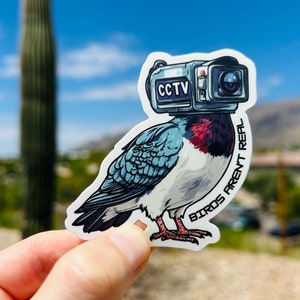 Birds Aren’t Real Conspiracy Theory Sticker Funny Sticker Area 51 Weird Sticker Gen Z Sticker Anti Goverment Surveillance Satirical Sticker