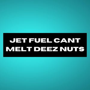 Funny Conspiracy Bumper Sticker Gen Z Sticker Meme Bumper Sticker Unhinged Car Decal Deez Nuts Satirical Sticker Weird Sticker Funny Sticker