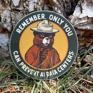 May include: A circular sticker featuring a brown bear wearing a tan ranger hat and pointing forward. The bear is centered on a yellow background surrounded by a dark green border. The text reads: REMEMBER, ONLY YOU CAN PREVENT AI DATA CENTERS.