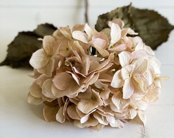 Hydrangea Cream Stem 28.5"  1pcs - Pink Hydrangea - Cream Hydrangea - Fall Flower - Faux Flower