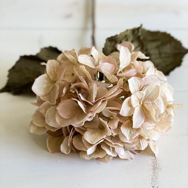 Hydrangea Cream Stem 28.5"  1pcs - Pink Hydrangea - Cream Hydrangea - Fall Flower - Faux Flower