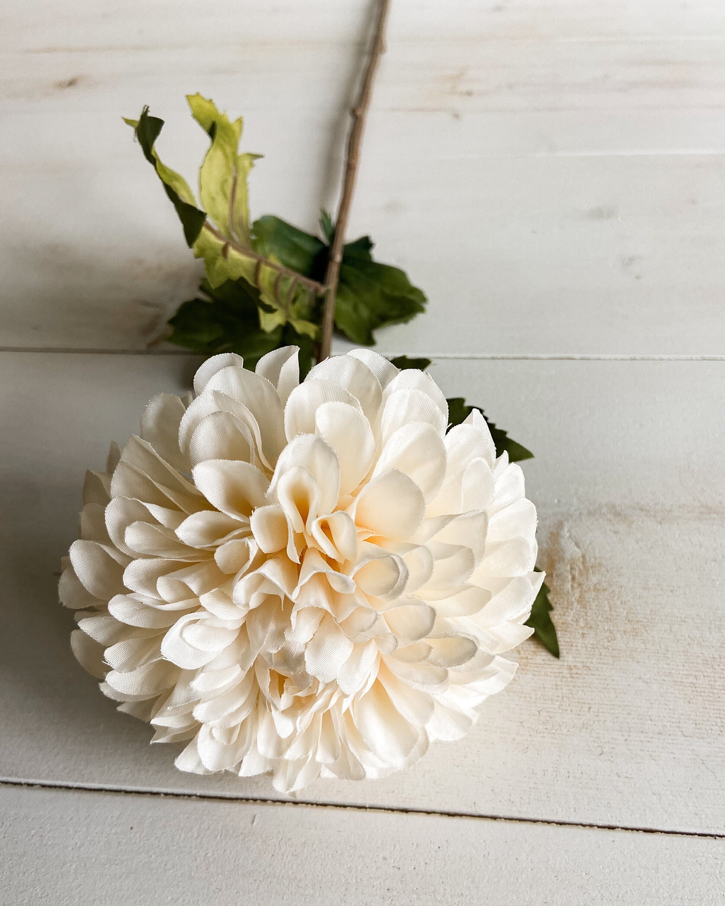 Dried Dahlia Flower Stems Bouquet With Color Options 
