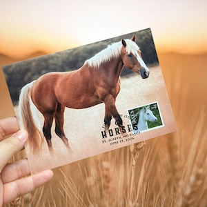 Horses Maxi Pictorial Card Pocztówka Pierwszy dzień emisji USA Maximaphily United States Postal Service Forever Stamp Postcrossing Post Office