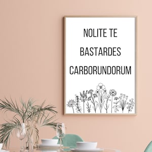 Nolite te bastardes carborundorum print poster II Feminist poster print II Minimalist Print II Latin Quotes from Book High Resolution