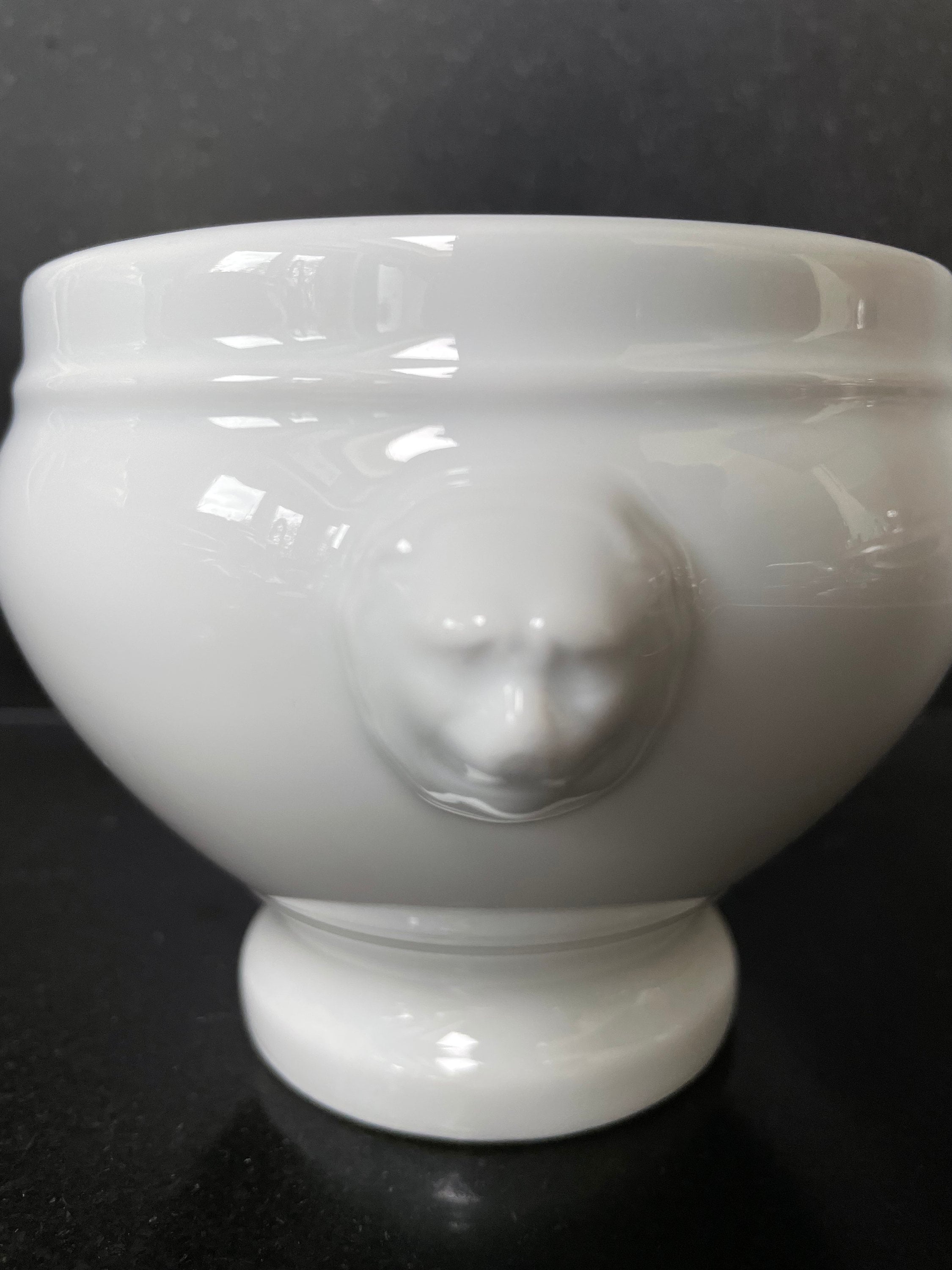 PILLIVUYT Set of 2 Lion's Head Soup Bowls. Soupière Tête De Lion
