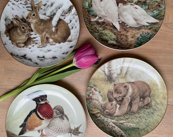 John Francis - Collectors Studio - The Forest Years plates (4) - Porcelain