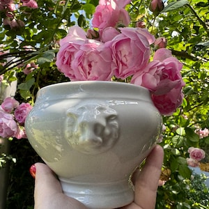 Bareuther Waldsassen Lion Head Onion Soup / Bouillon Bowl - Bavaria Germany