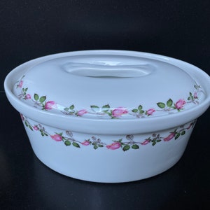 Lovely APILCO Covered Casserole Dish Porcelaine a feu (Pillivuyt) France