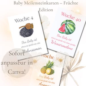 Digitale Meilensteinkarten Baby | Obst-Design | Wochenkarten 4–40 | Canva Vorlage | PDF zum Ausdrucken | Deutsch