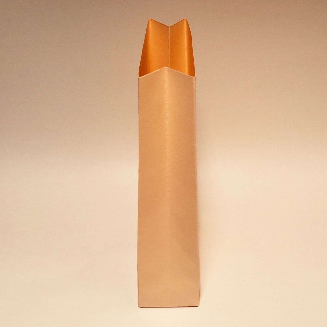 Grocery Bag Template Grocery Paper Bag Printable Bag Paper Etsy