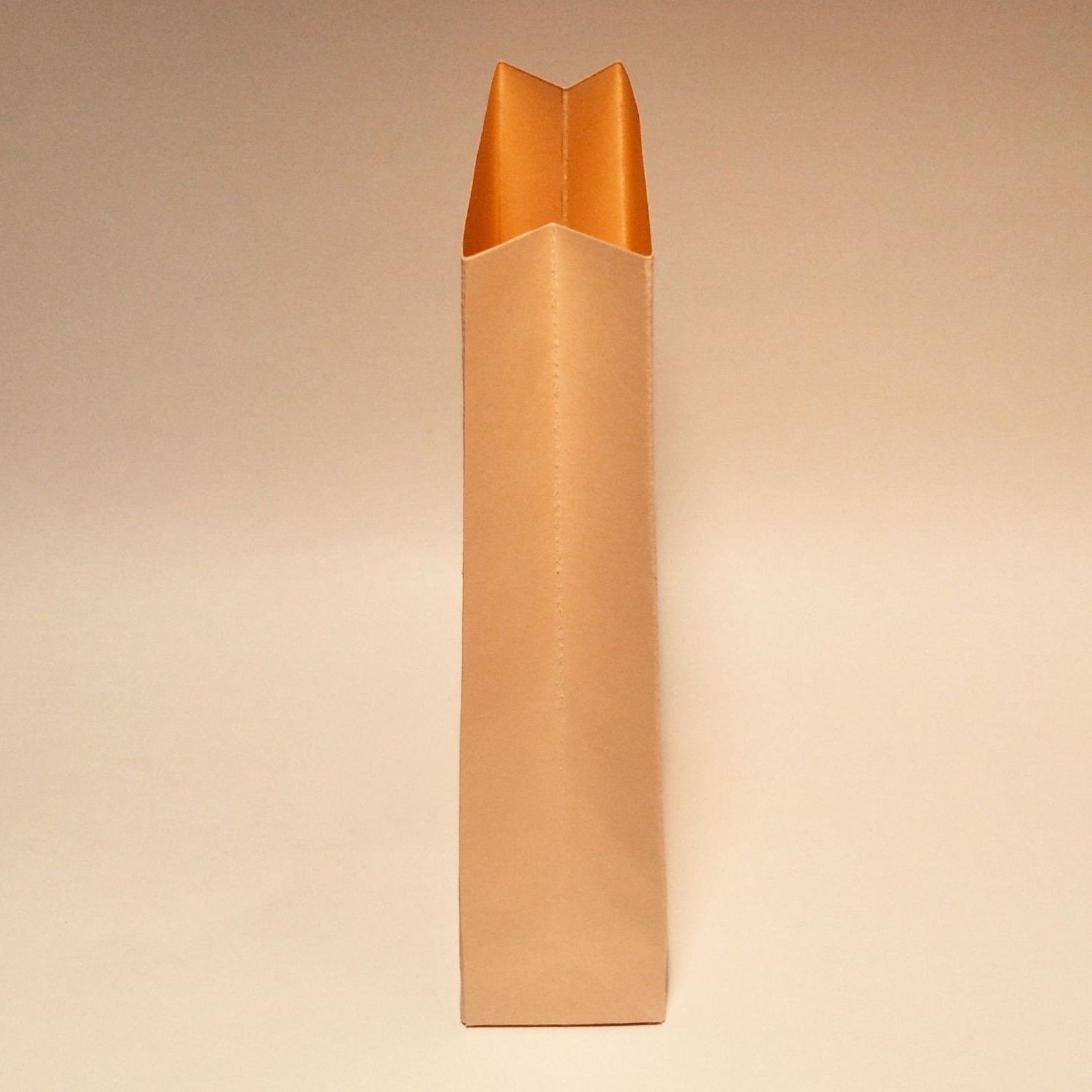 Grocery Bag Template Grocery Paper Bag Printable Bag Paper Etsy