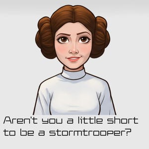Princess Leia Star Wars Pixar Kiss-Cut Stickers, Laptop Decals, Vinyl Sticker Pack, Water Bottle Sticker, Scrapbook Supplies