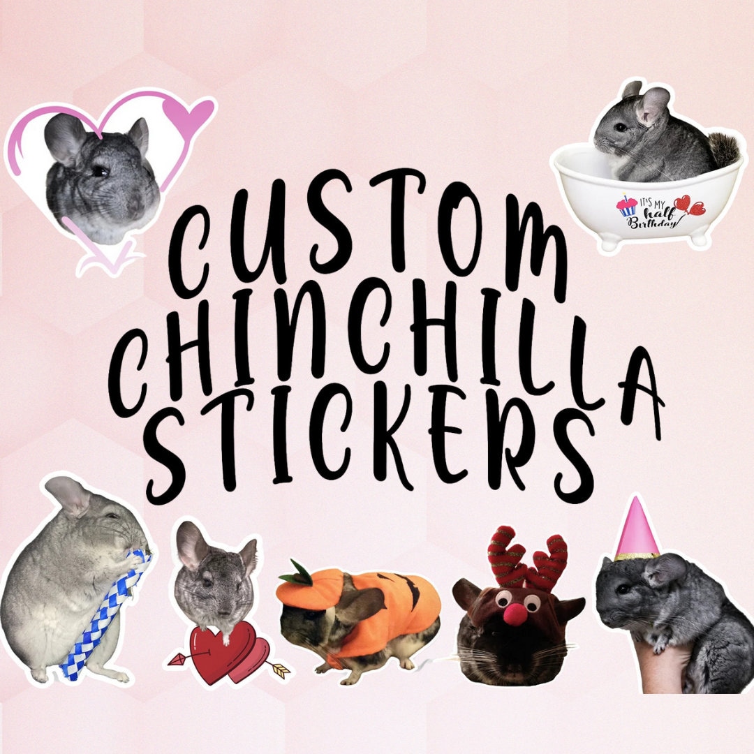 Chinchilla Custom Die-cut Photo Sticker - Etsy